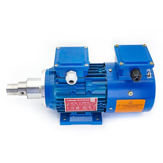 Насос Micro Magnetic Gear Sumping с двигателем с переменной частотой, защищенной от взрыва