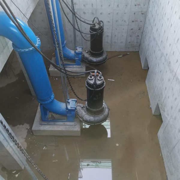 QW submersible sewage pump.jpg