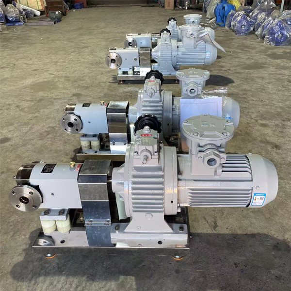 Роторный насос из пищевой нержавеющей стали