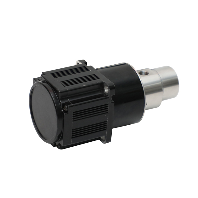 Насос измерения из нержавеющей стали с водителем и двигателем